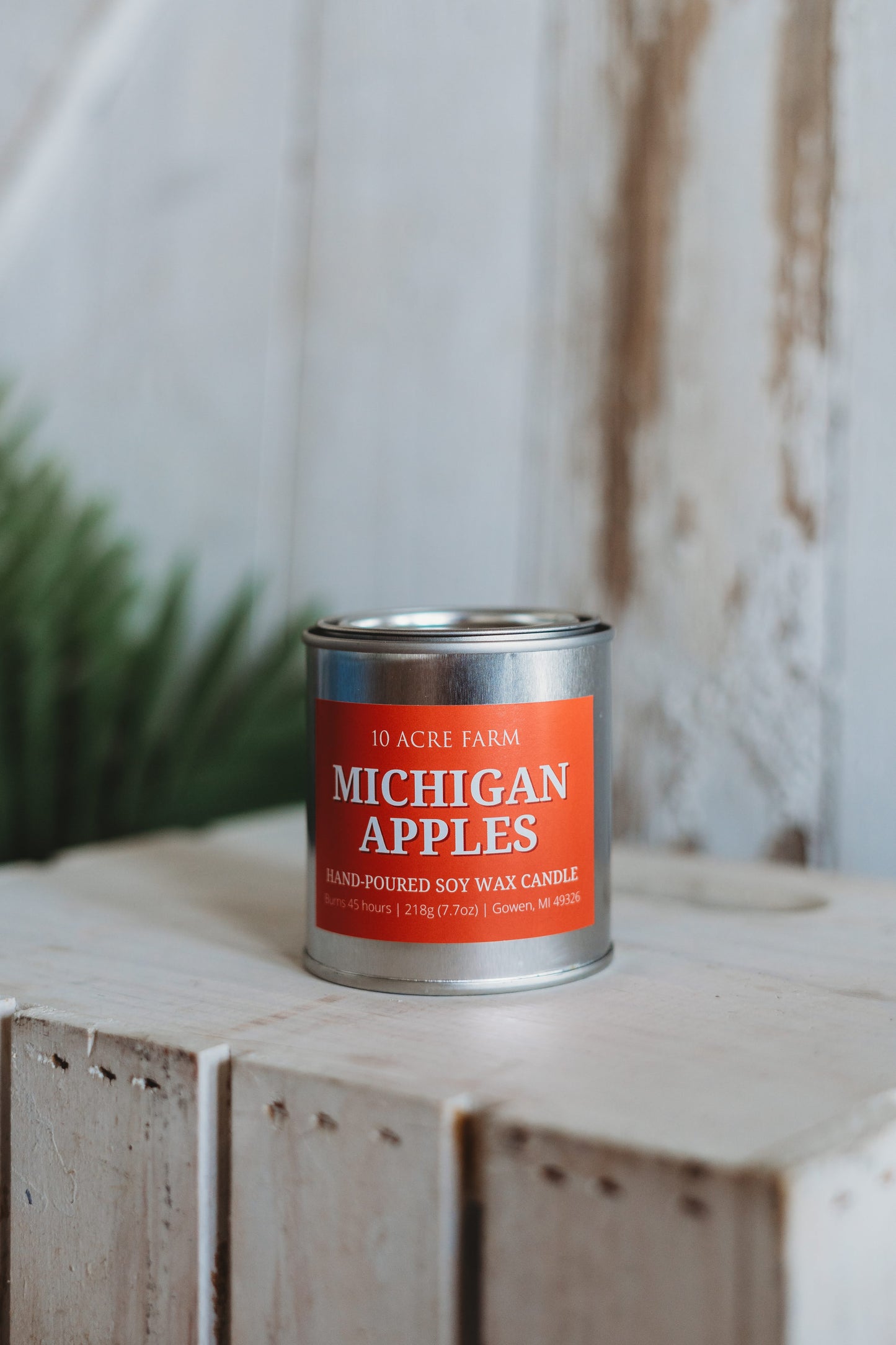 Michigan Apples Soy Candle