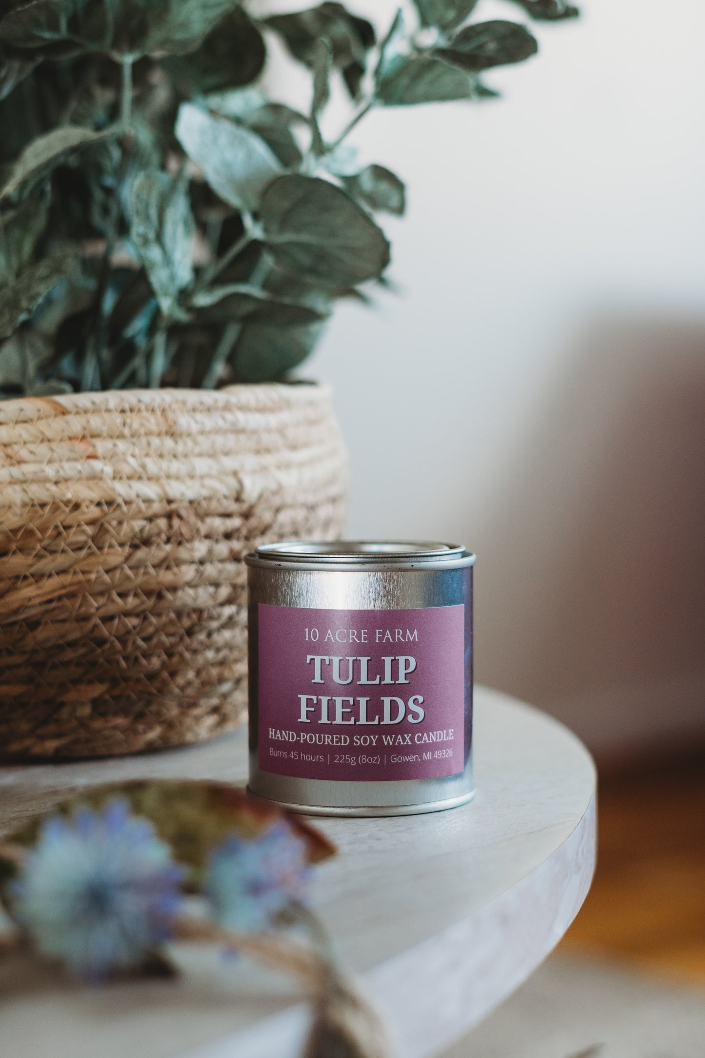 Tulip Fields Soy Candle