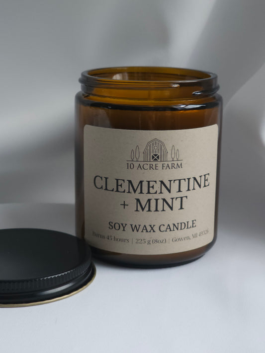 Clementine + Mint 8oz Amber Glass Soy Candle